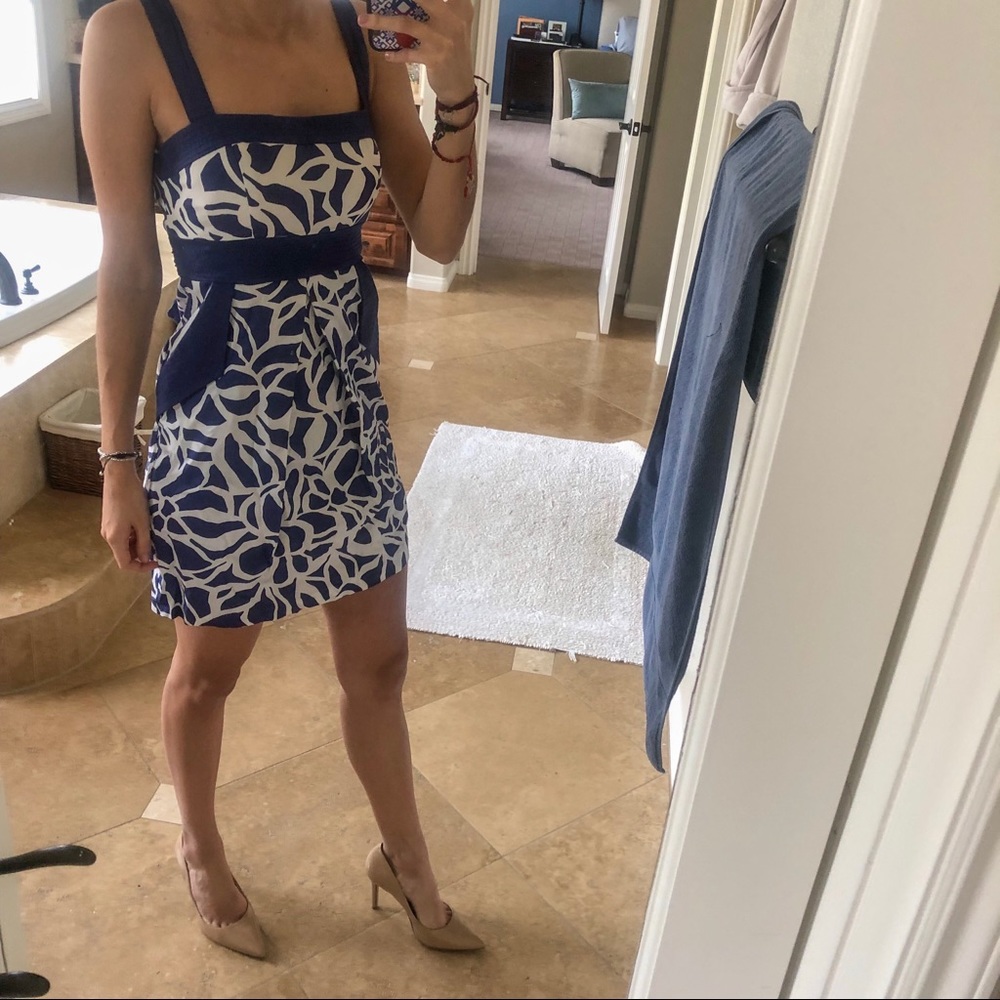 Print Blue White Spring Dress